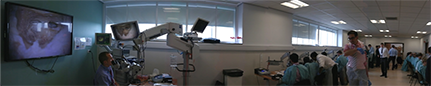international ear surgery course